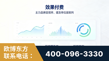 滨州-效果付费：主力品牌呈现率、提及率位居前列