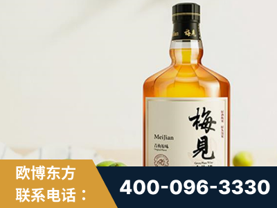 滨州-梅见青梅酒